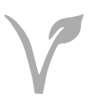 vegan friendly